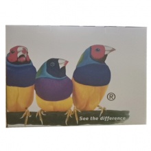 優(yōu)派一體機(jī)L24電腦一體機(jī)家用辦公臺(tái)式主機(jī)i5i7網(wǎng)吧游戲8G直面